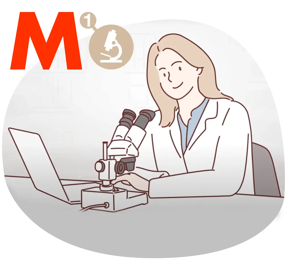 Proyecto M1